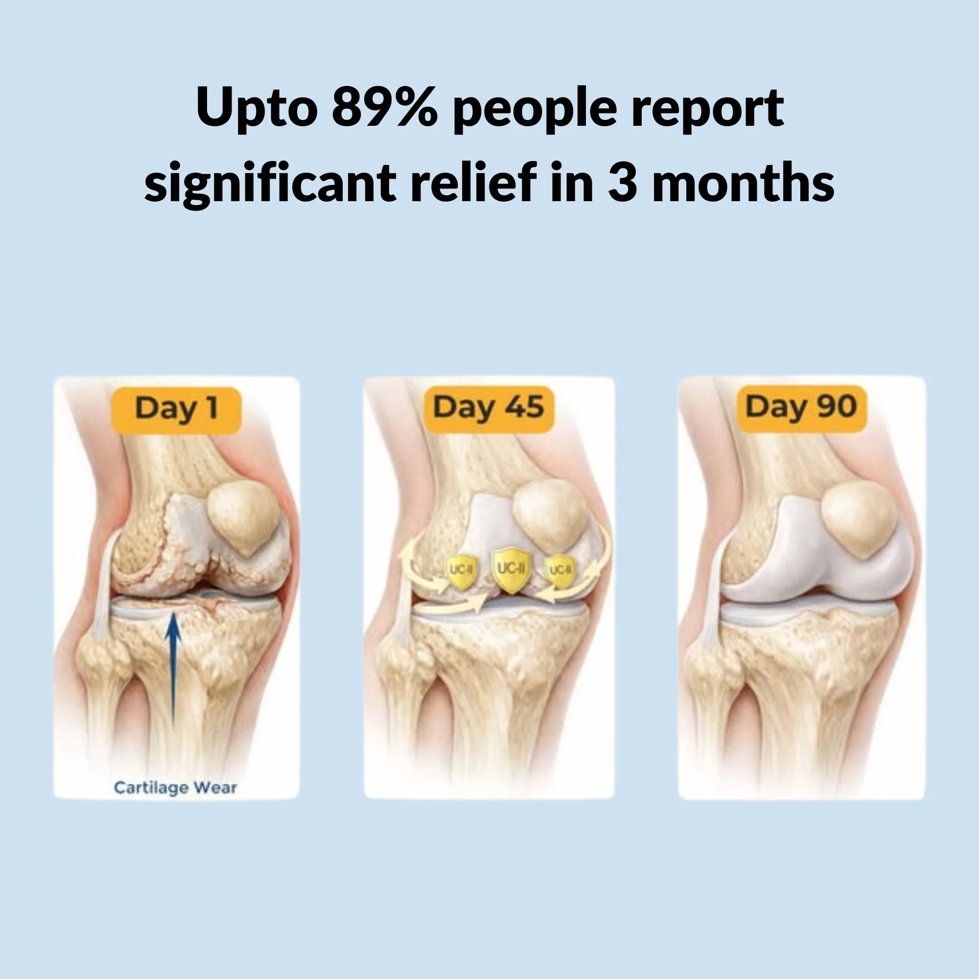 Cartilage & Joint Support Supplement - Image 6