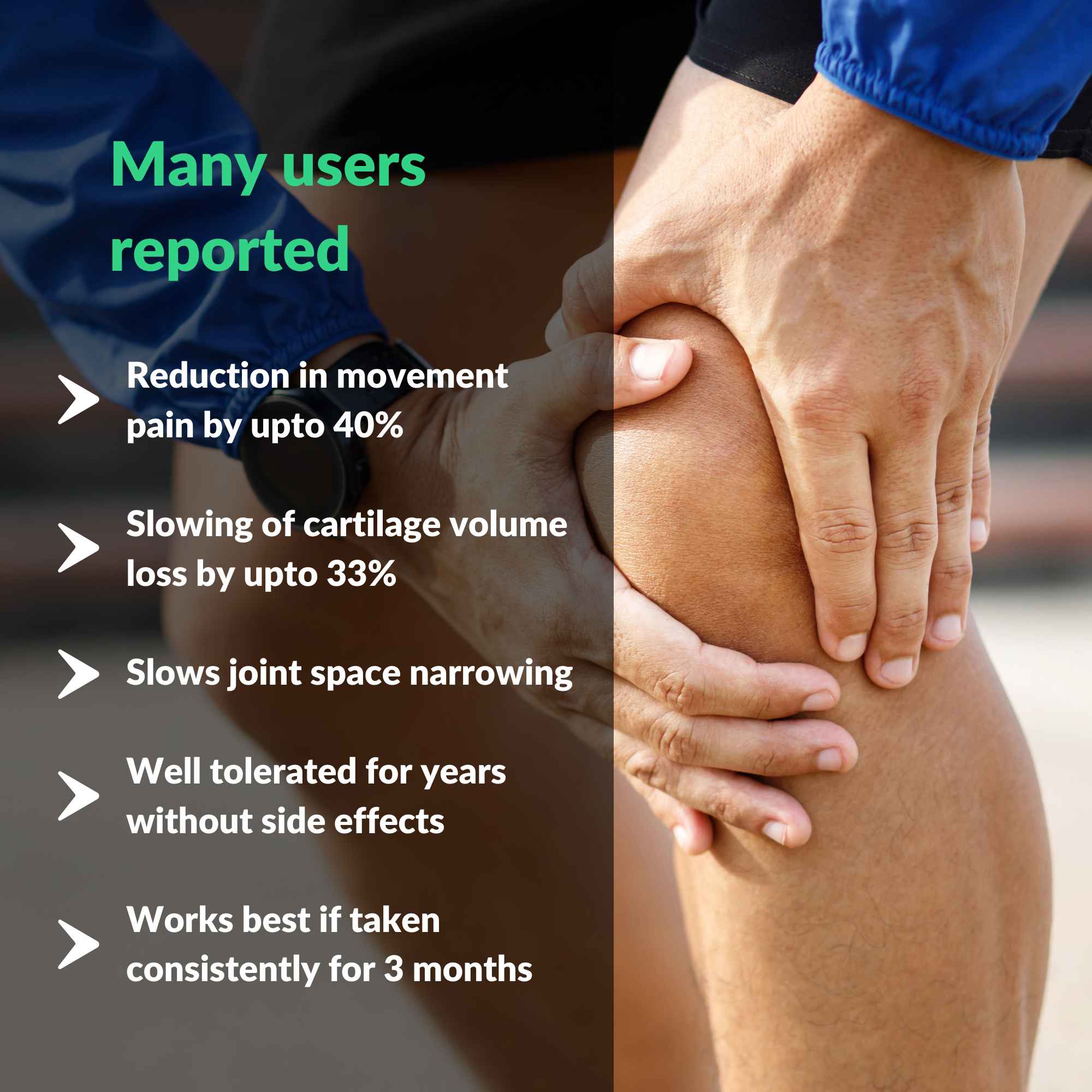 Cartilage & Joint Support Supplement - Image 9